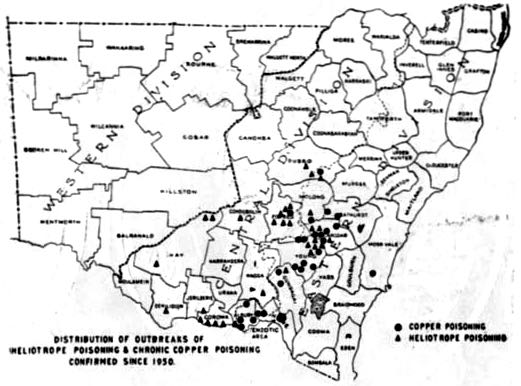 NSW map area of chronic copper poisoning sheep 1950