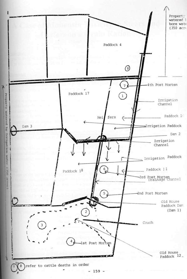 Mud map of farm paddocks