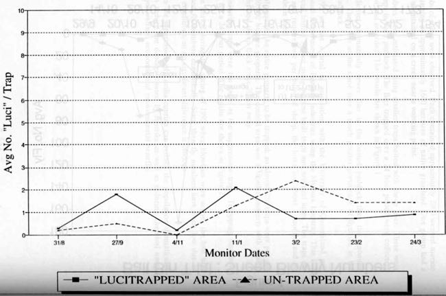 Graph of fly counts