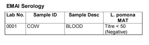 Serology results copy