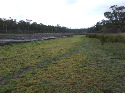 Image of receded lake edge