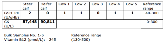 Table of serology results