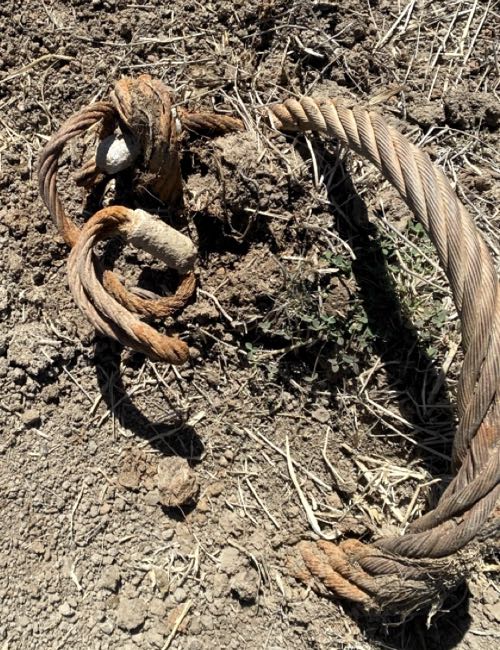 Image of thick wire cable partially buried in soil