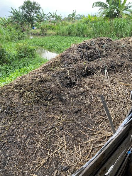 Image of manure and straw