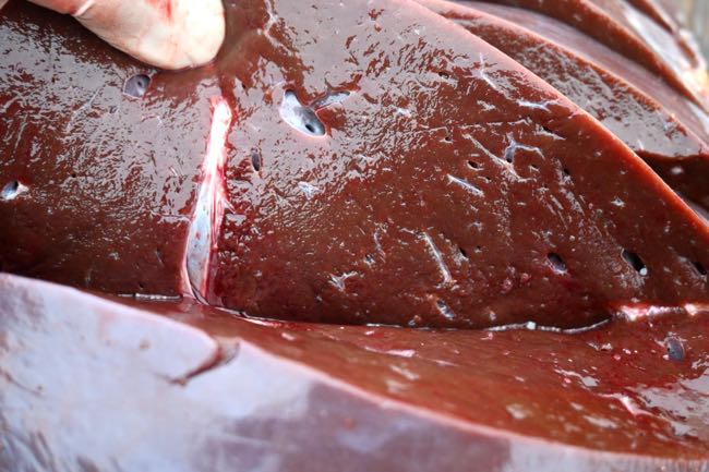 Image of cut surface of bovine liver