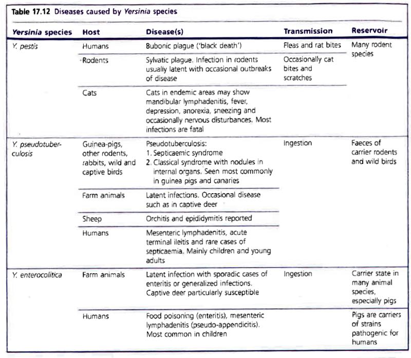 List of diseases caused by Yersinia