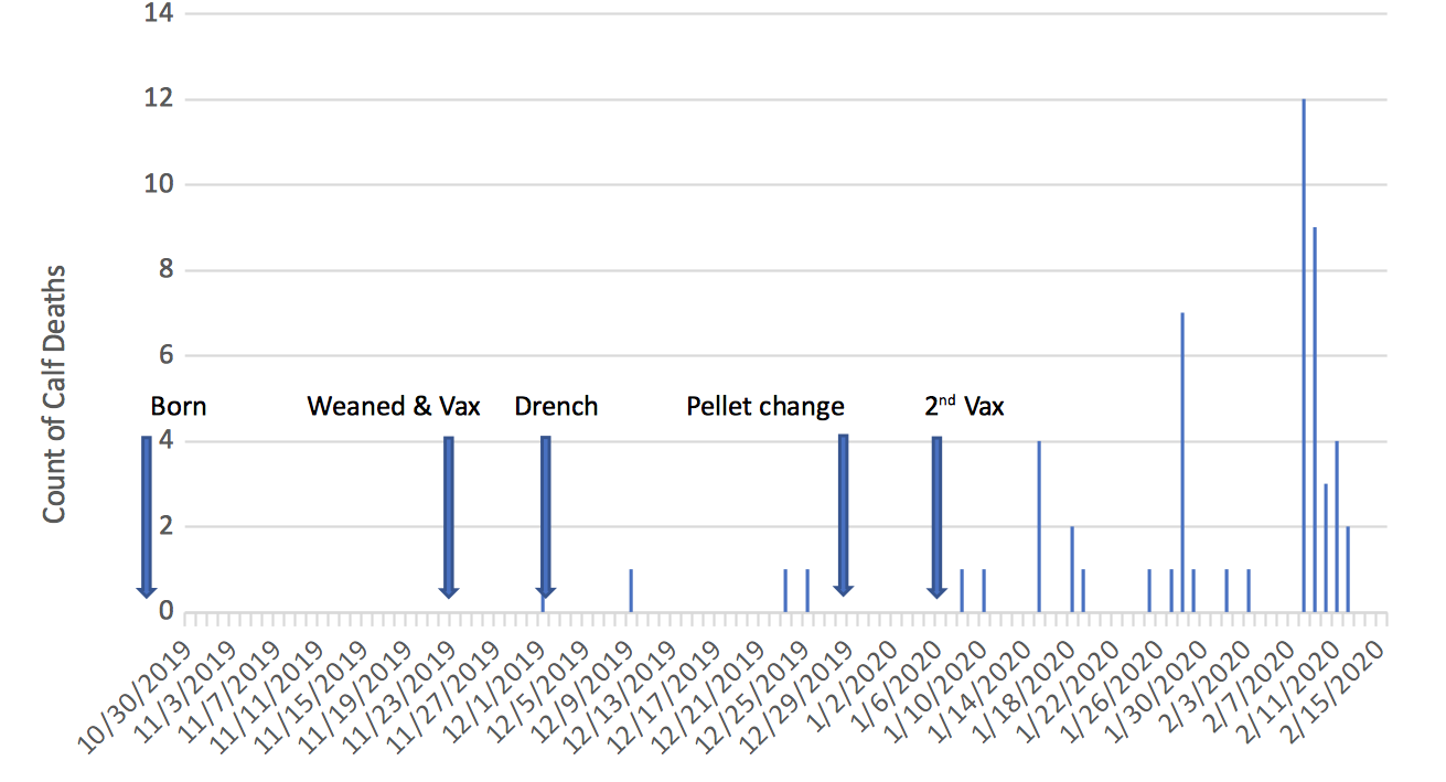 Graph of calf deaths relative to management operations