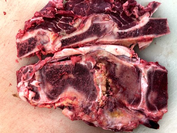 Image of bovine post-mortem vertebral section showing abscess impinging on spinal cord