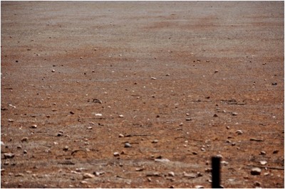 Image of bare paddock