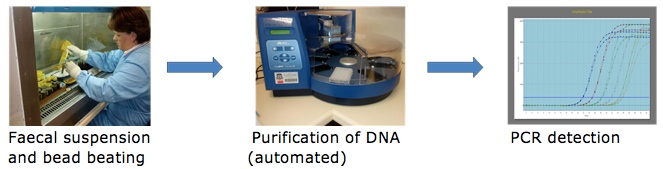 Images of faecal test processing