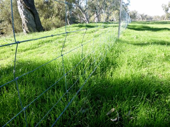 Imamge of green pasture
