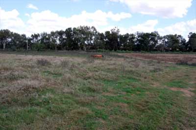 Image of pasture paddock