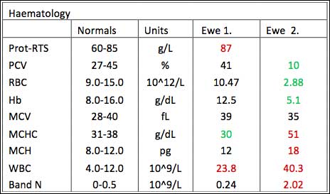 Table of laboratory results