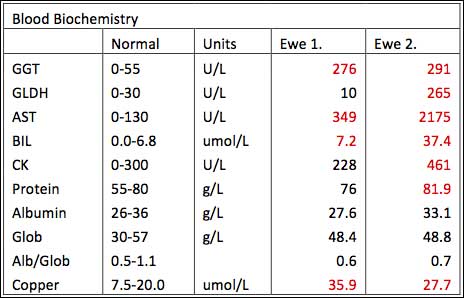 Table of laboratory results