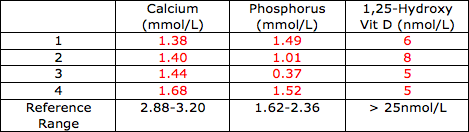 Image of biochemistry results