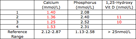 Image of biochemistry results