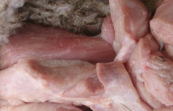 Image of sheep muscles post-mortem