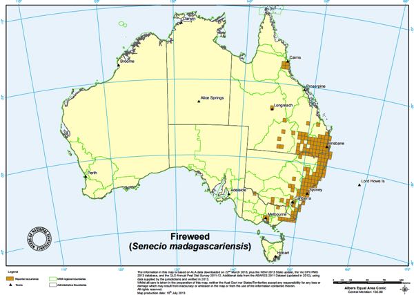 fireweed sheep australian distribution